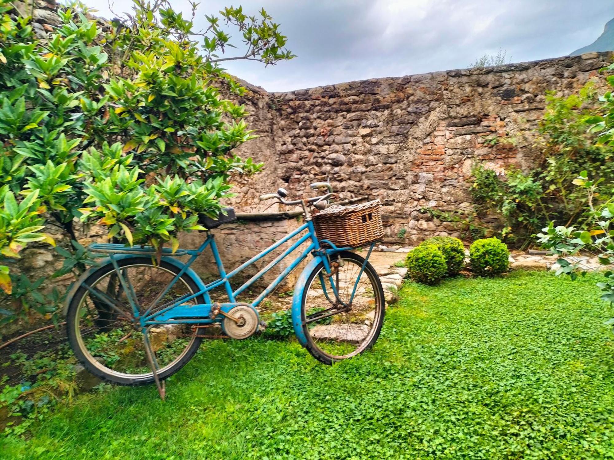 Badia Giulia Prestigious Historical B&B, Camaiore - Adults Only - No Pets Exterior foto