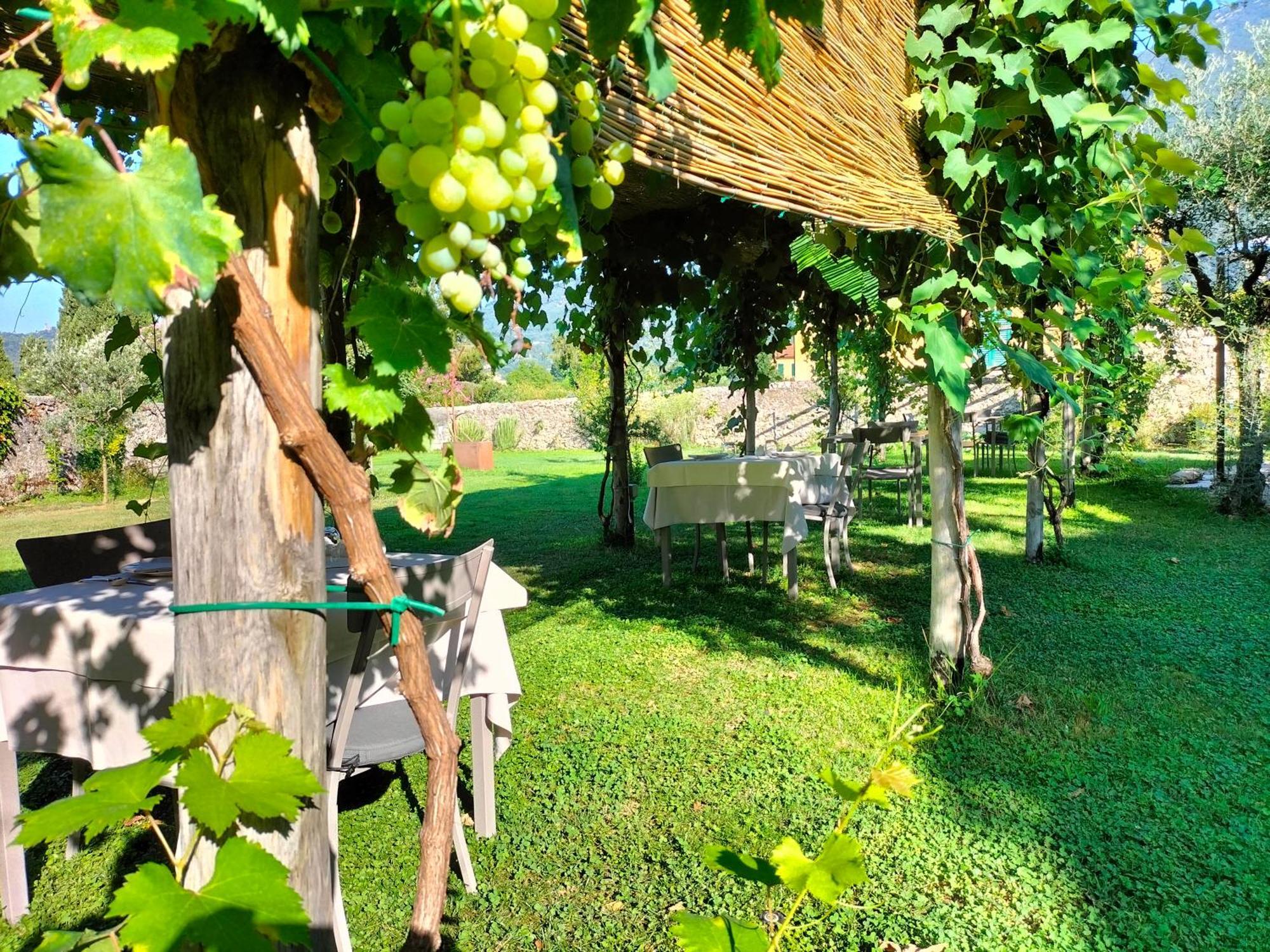Badia Giulia Prestigious Historical B&B, Camaiore - Adults Only - No Pets Exterior foto